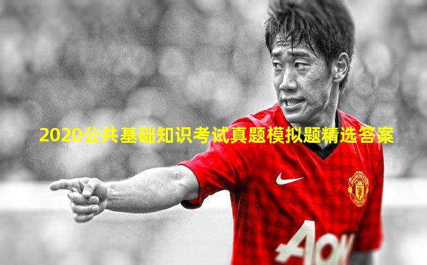 2020公共基础知识考试真题模拟题精选答案