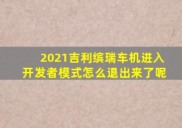 2021吉利缤瑞车机进入开发者模式怎么退出来了呢
