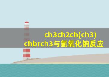 ch3ch2ch(ch3)chbrch3与氢氧化钠反应