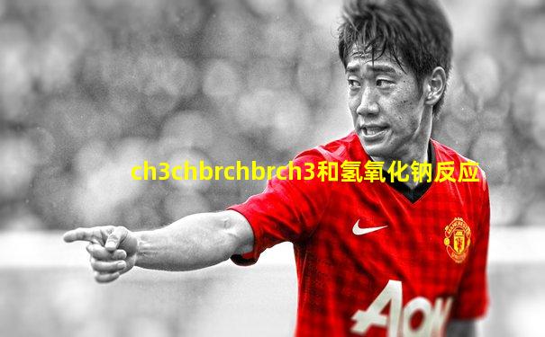 ch3chbrchbrch3和氢氧化钠反应