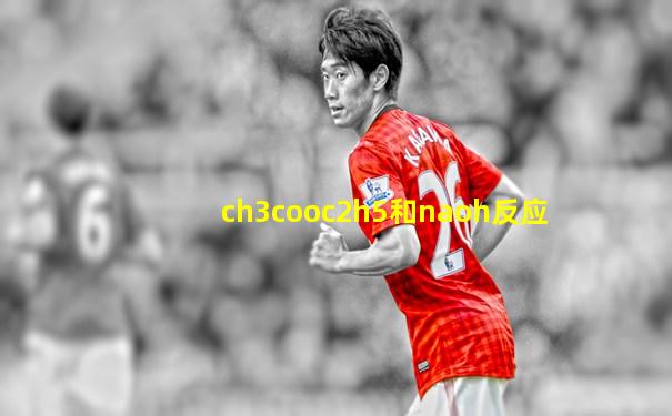 ch3cooc2h5和naoh反应