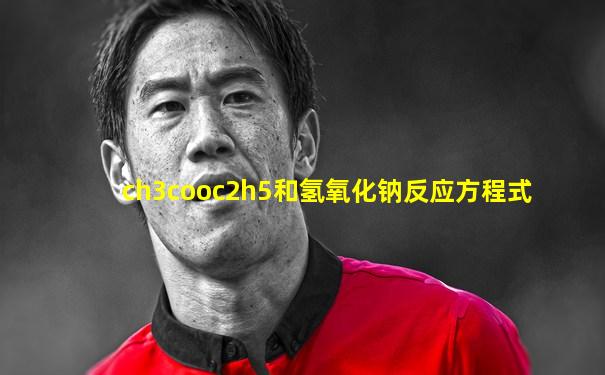 ch3cooc2h5和氢氧化钠反应方程式