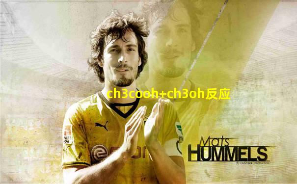 ch3cooh+ch3oh反应