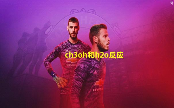 ch3oh和h2o反应