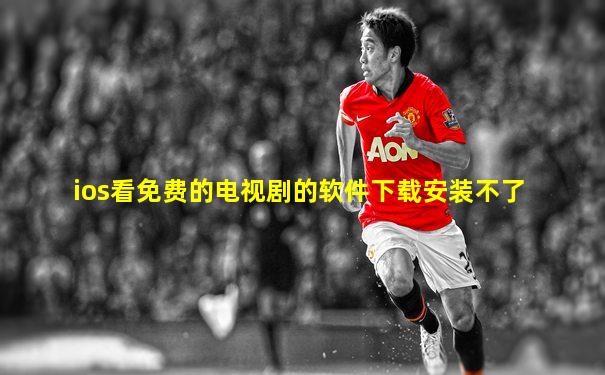 ios看免费的电视剧的软件下载安装不了