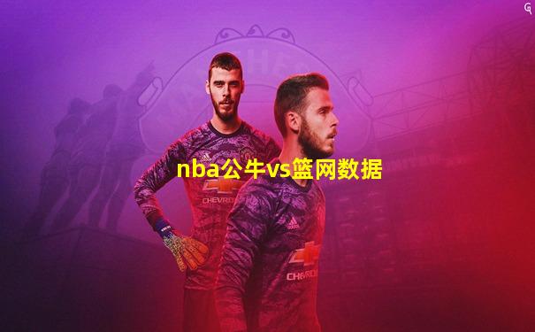 nba公牛vs篮网数据