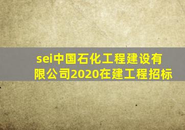 sei中国石化工程建设有限公司2020在建工程招标