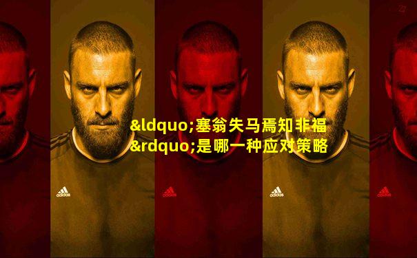 “塞翁失马焉知非福”是哪一种应对策略