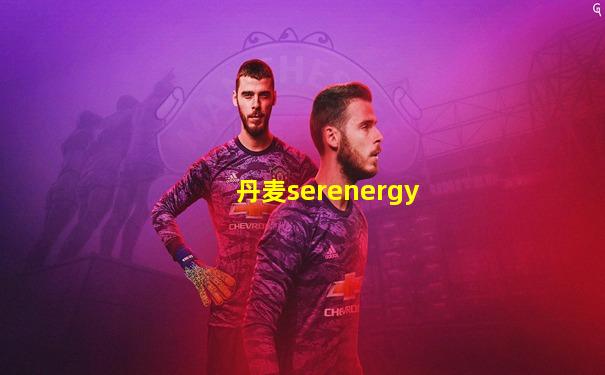 丹麦serenergy