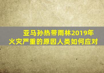 亚马孙热带雨林2019年火灾严重的原因人类如何应对