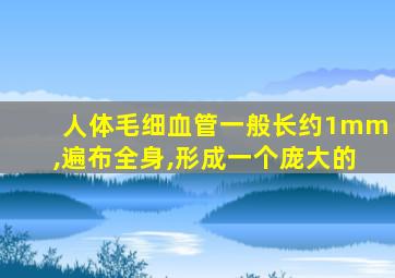 人体毛细血管一般长约1mm,遍布全身,形成一个庞大的