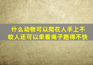 什么动物可以爬在人手上不咬人还可以牵着绳子跑得不快