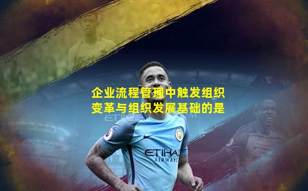 企业流程管理中触发组织变革与组织发展基础的是