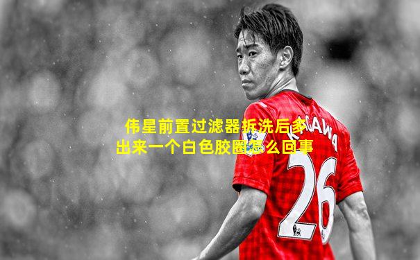 伟星前置过滤器拆洗后多出来一个白色胶圈怎么回事