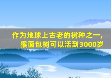 作为地球上古老的树种之一,猴面包树可以活到3000岁