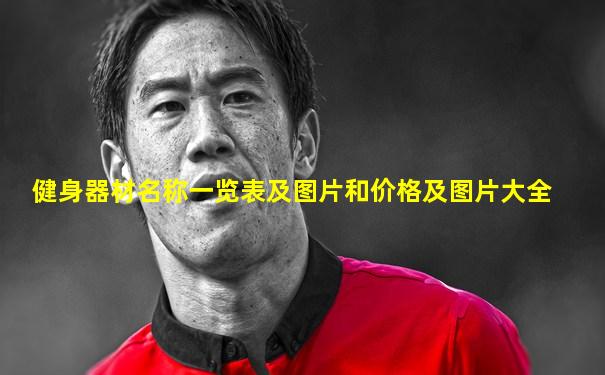 健身器材名称一览表及图片和价格及图片大全