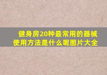 健身房20种最常用的器械使用方法是什么呢图片大全