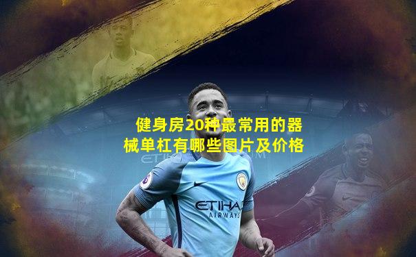 健身房20种最常用的器械单杠有哪些图片及价格