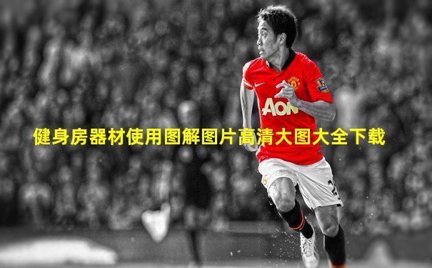 健身房器材使用图解图片高清大图大全下载
