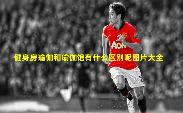 健身房瑜伽和瑜伽馆有什么区别呢图片大全