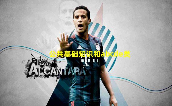 公共基础知识和abcde类