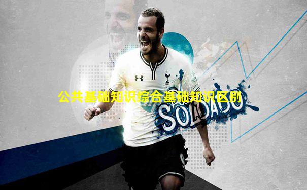 公共基础知识综合基础知识区别
