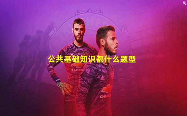 公共基础知识都什么题型