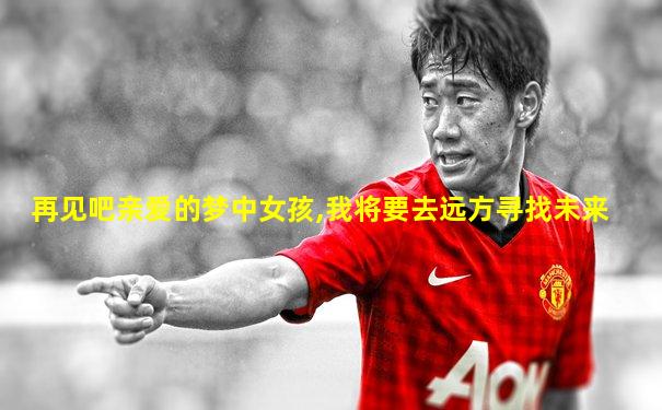 再见吧亲爱的梦中女孩,我将要去远方寻找未来
