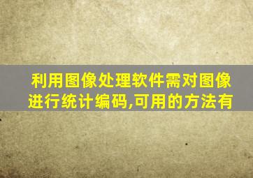利用图像处理软件需对图像进行统计编码,可用的方法有