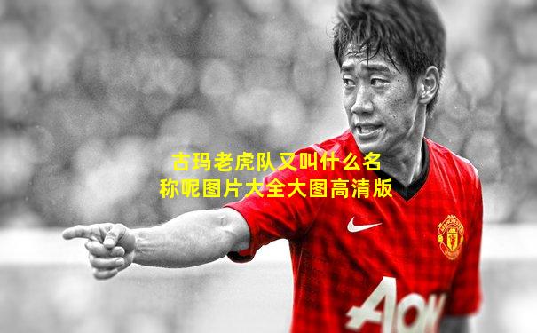 古玛老虎队又叫什么名称呢图片大全大图高清版