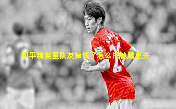 和平精英里队友掉线了怎么把他踢出去