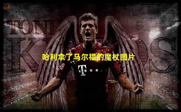 哈利拿了马尔福的魔杖图片