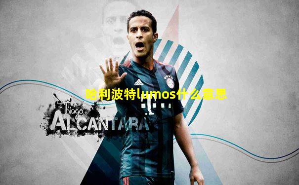 哈利波特lumos什么意思