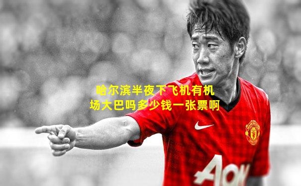 哈尔滨半夜下飞机有机场大巴吗多少钱一张票啊