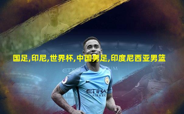 国足,印尼,世界杯,中国男足,印度尼西亚男篮