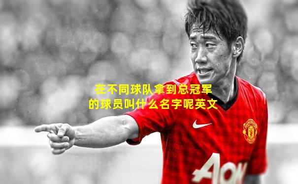 在不同球队拿到总冠军的球员叫什么名字呢英文