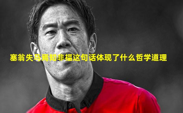 塞翁失马焉知非福这句话体现了什么哲学道理