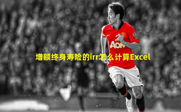 增额终身寿险的irr怎么计算Excel