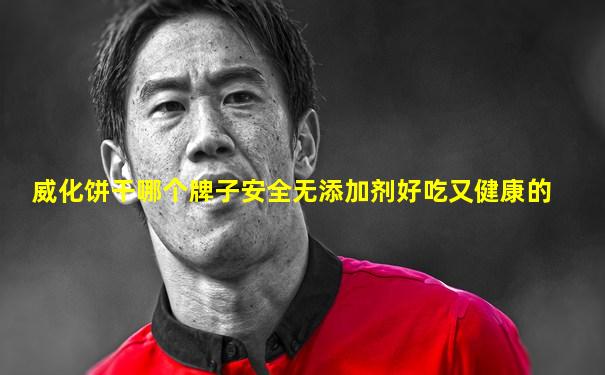 威化饼干哪个牌子安全无添加剂好吃又健康的
