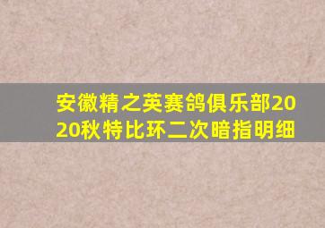 安徽精之英赛鸽俱乐部2020秋特比环二次暗指明细