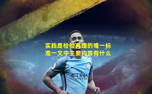 实践是检验真理的唯一标准一文中主要内容有什么