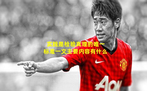 实践是检验真理的唯一标准一文主要内容有什么