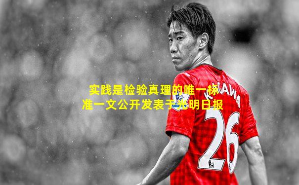 实践是检验真理的唯一标准一文公开发表于光明日报