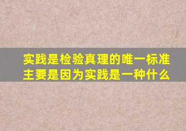 实践是检验真理的唯一标准主要是因为实践是一种什么