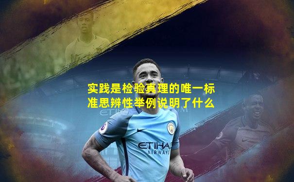 实践是检验真理的唯一标准思辨性举例说明了什么