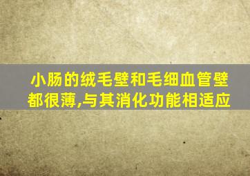 小肠的绒毛壁和毛细血管壁都很薄,与其消化功能相适应