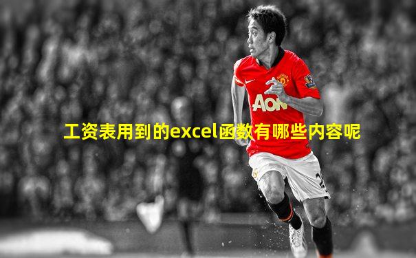 工资表用到的excel函数有哪些内容呢