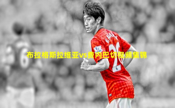 布拉格斯拉维亚vs费内巴切视频集锦