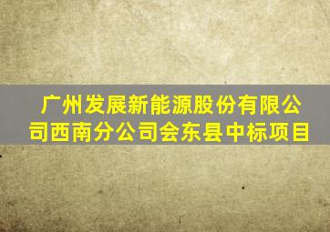 广州发展新能源股份有限公司西南分公司会东县中标项目