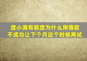 度小满有额度为什么用借款不成功让下个月这个时候再试